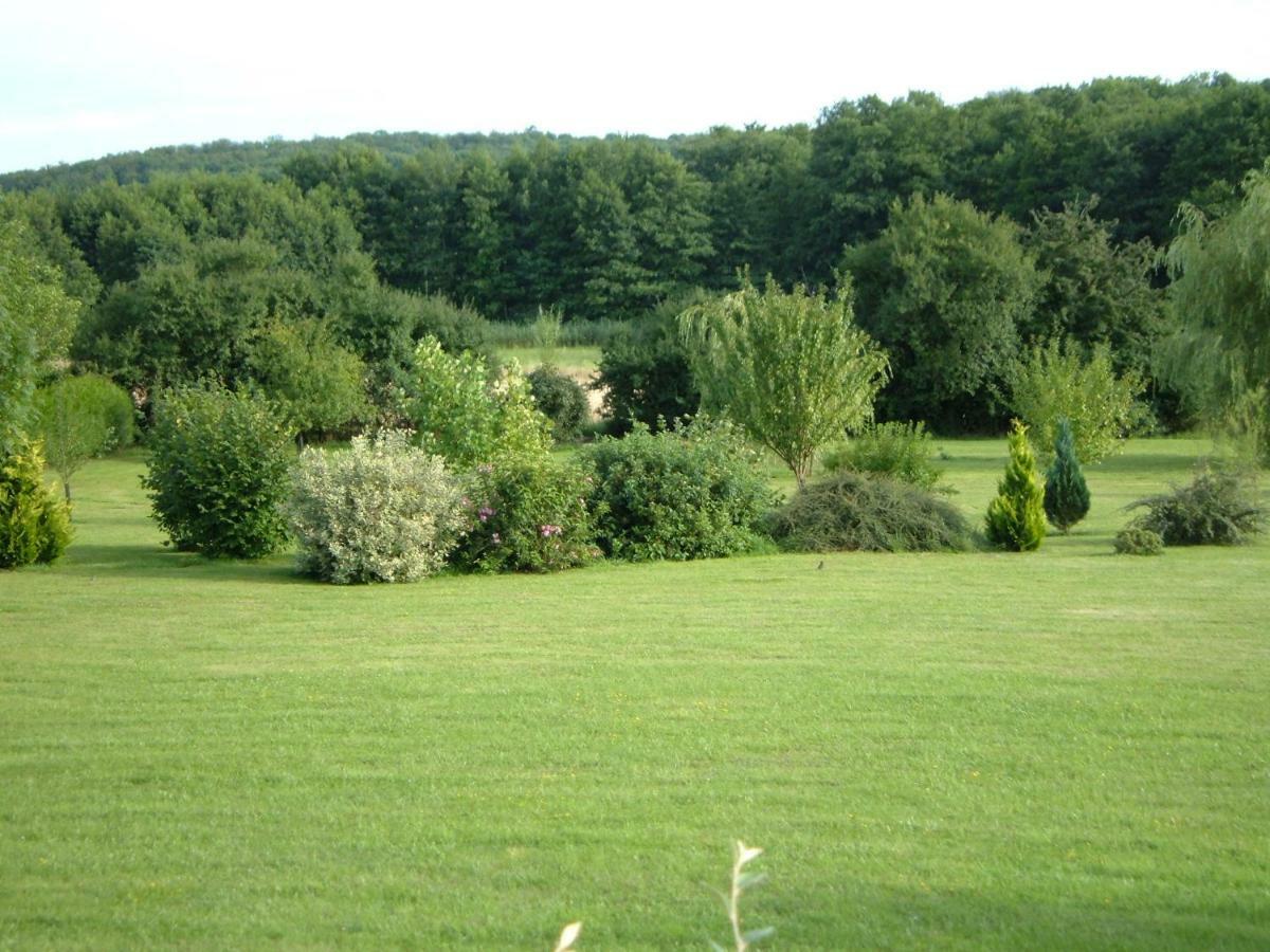 Le Lansquenet Villa Rorbach-les-Dieuze Eksteriør billede